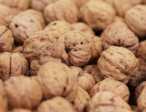 ¿Te apetecen unas nueces?